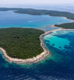 Pantera Bay